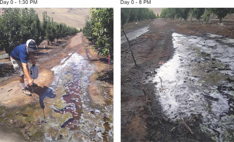 A wide puddle of standing irrigation water on cracked clay ground, with a marker stick set at the water's edge