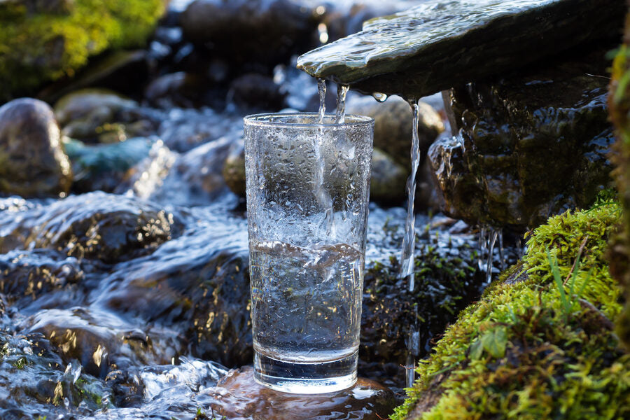 A glass filling with clear mineral spring water flowing from rock, moss and mountain stream behind