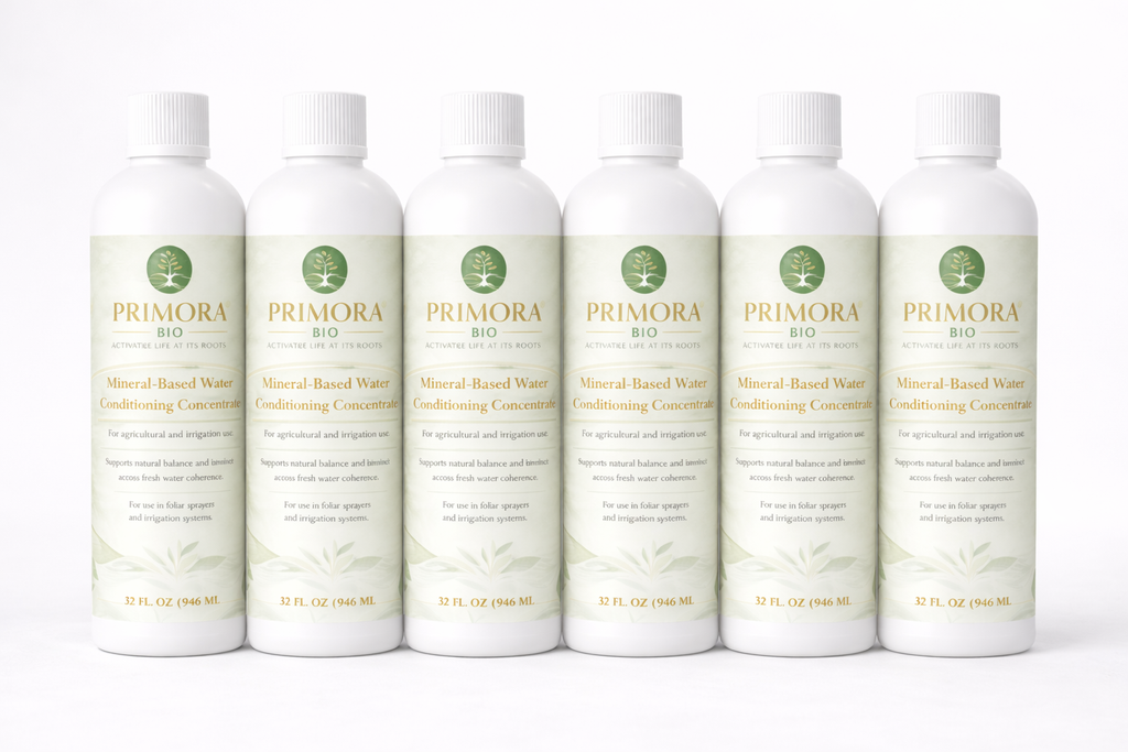 Cosmotropic, Restorative Mineral Solution for water - Living Bundle