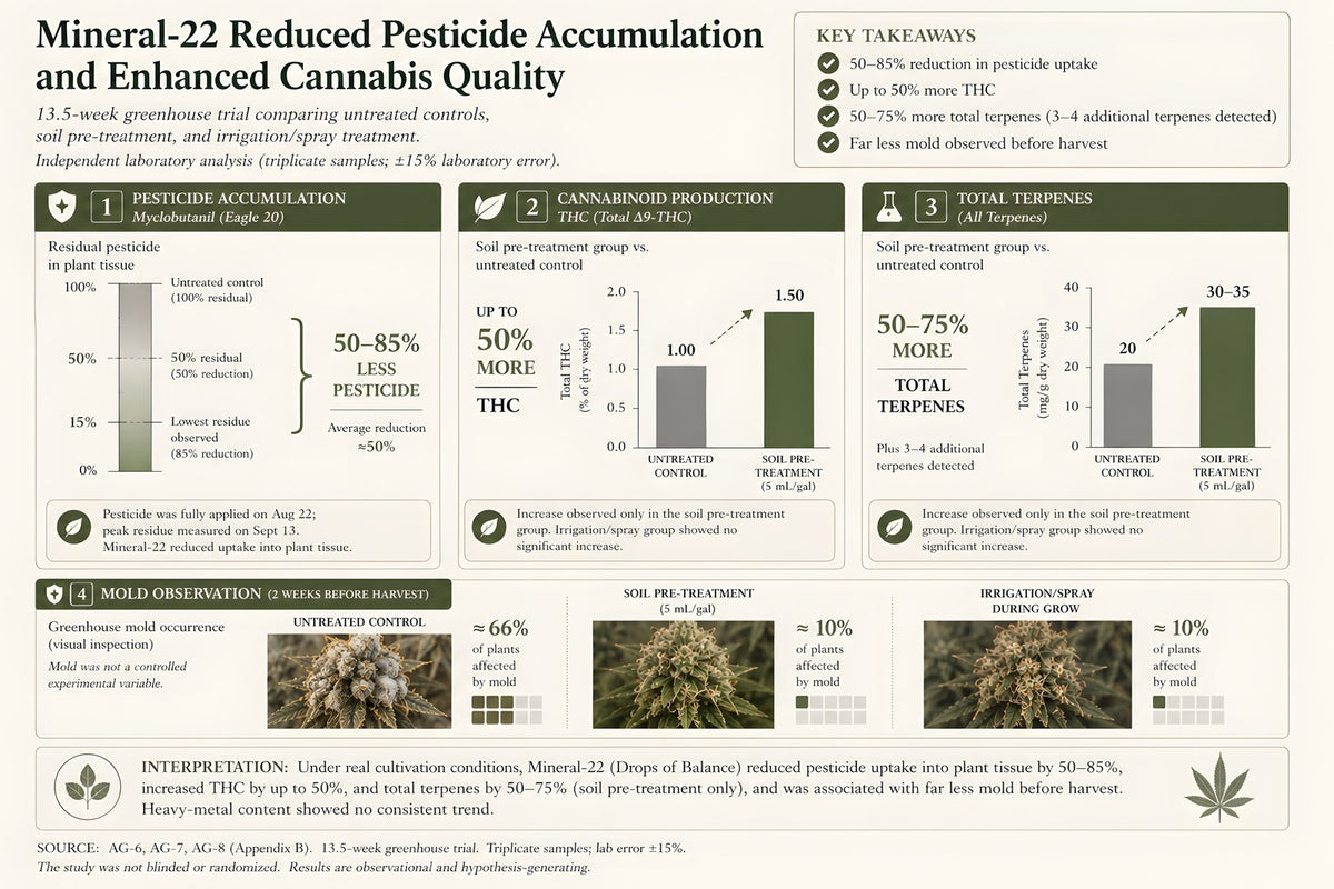 Greenhouse cannabis trial: reduced pesticide accumulation, higher cannabinoid and terpene content