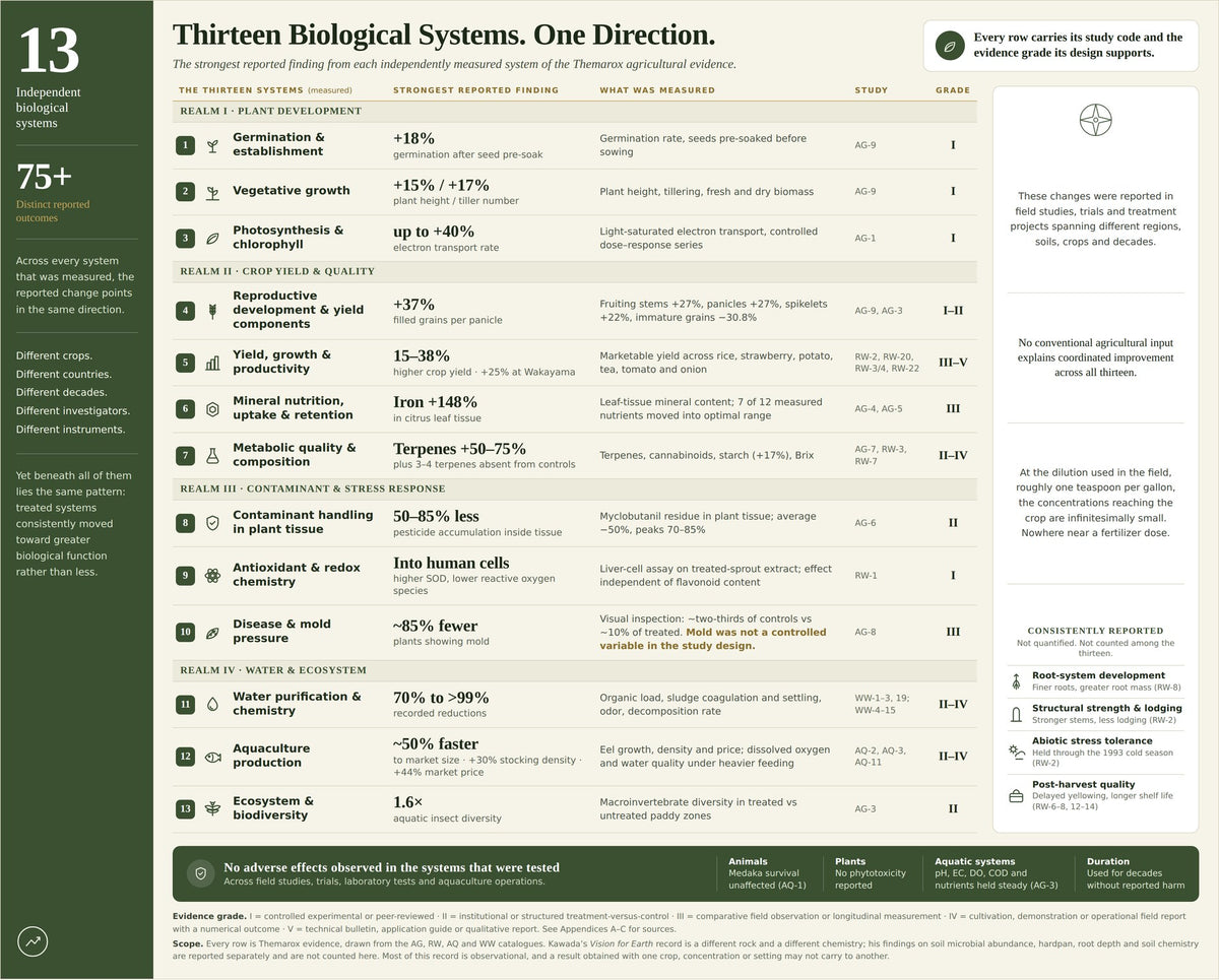 Thirteen biological systems, one direction: the strongest reported finding in each measured system, with study codes and evidence grades