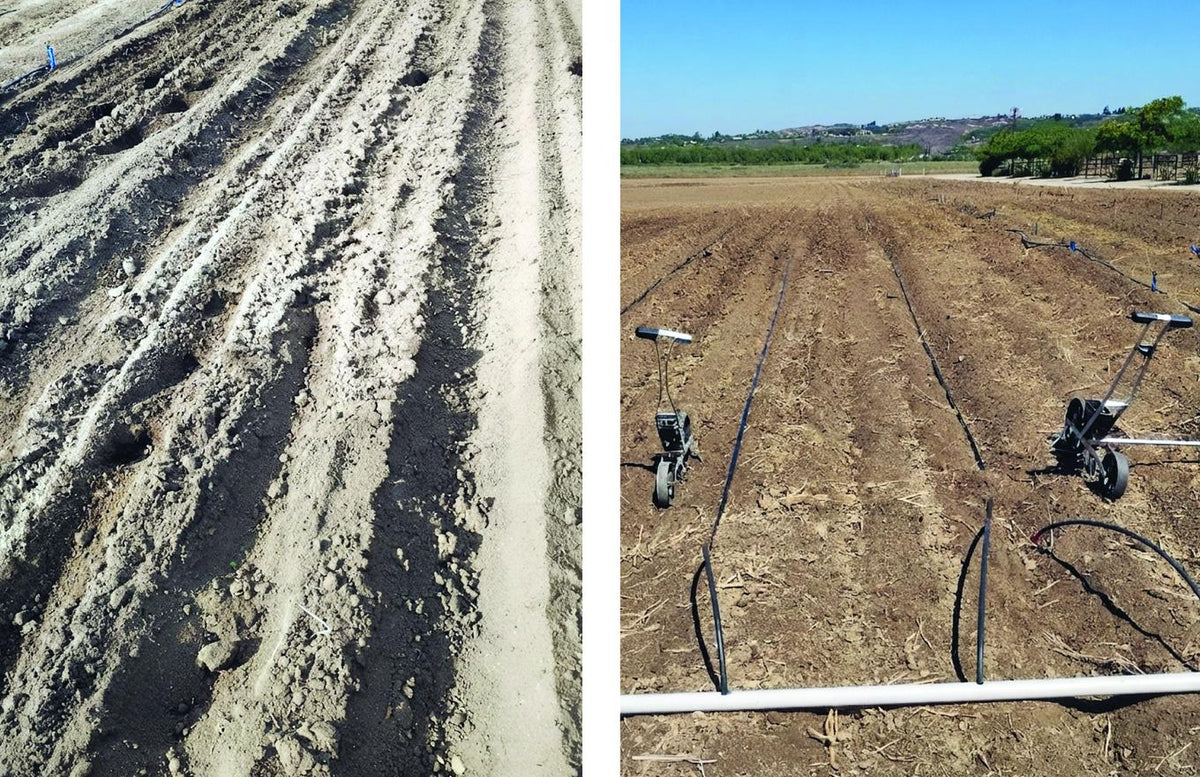Dry, dusty, sparsely vegetated ground at the start of the season